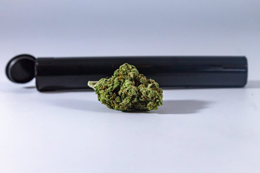 A detailed shot of a dried cannabis flower alongside a smoking pipe on a neutral background.